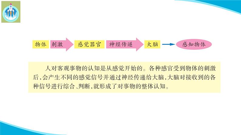 新版苏教版科学-18从刺激到反应-五年级上册PPT课件第7页