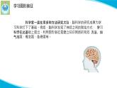 新版蘇教版科學(xué)-20大腦的開(kāi)發(fā)與利用-五年級(jí)上冊(cè)PPT課件