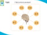 新版蘇教版科學(xué)-20大腦的開(kāi)發(fā)與利用-五年級(jí)上冊(cè)PPT課件