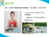 苏教版科学五年级下册2微小的生命体PPT课件完美版