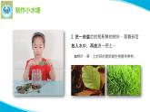 苏教版科学五年级下册2微小的生命体PPT课件完美版