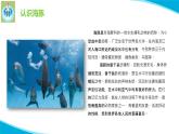 苏教版科学五年级下册7海豚与声呐PPT课件完美版