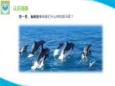 苏教版科学五年级下册7海豚与声呐PPT课件完美版
