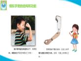 蘇教版科學(xué)五年級(jí)下冊(cè)8我們來(lái)仿生PPT課件完美版
