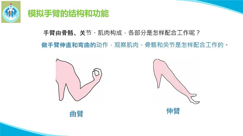 苏教版科学五年级下册8我们来仿生PPT课件完美版04