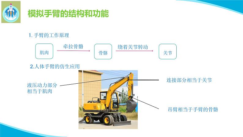 苏教版科学五年级下册8我们来仿生PPT课件完美版08