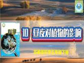 蘇教版科學(xué)五年級下冊10晝夜對植物的影響PPT課件完美版