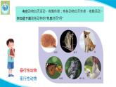 苏教版科学五年级下册11昼夜对动物的影响PPT课件