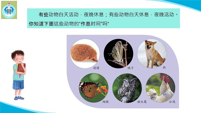 苏教版科学五年级下册11昼夜对动物的影响PPT课件完美版修改03