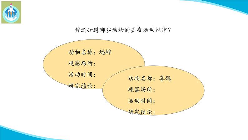 苏教版科学五年级下册11昼夜对动物的影响PPT课件完美版修改07