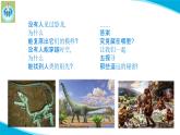 苏教版科学六年级上册8消失的恐龙PPT课件