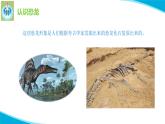 苏教版科学六年级上册8消失的恐龙PPT课件