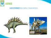 苏教版科学六年级上册9化石告诉我们什么PPT课件