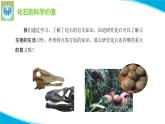 蘇教版科學六年級上冊10用化石作證據(jù)PPT課件