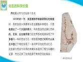 蘇教版科學六年級上冊10用化石作證據(jù)PPT課件
