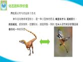 蘇教版科學六年級上冊10用化石作證據(jù)PPT課件