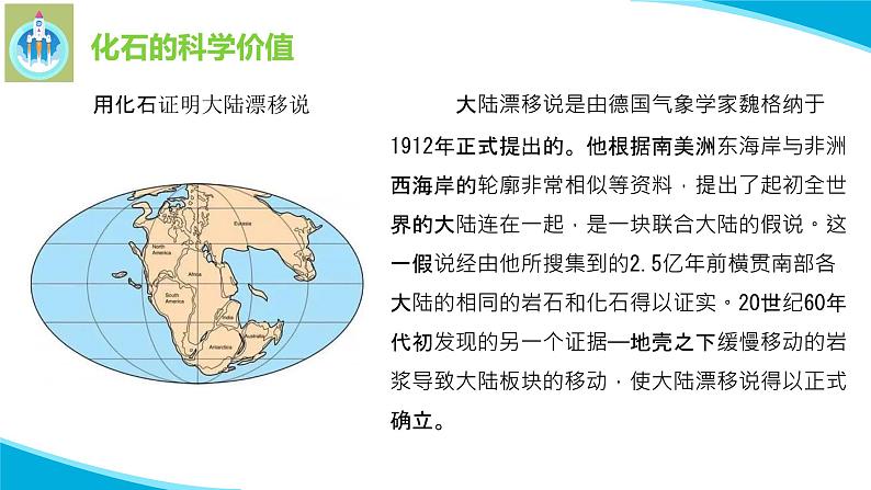 苏教版科学六年级上册10用化石作证据PPT课件06