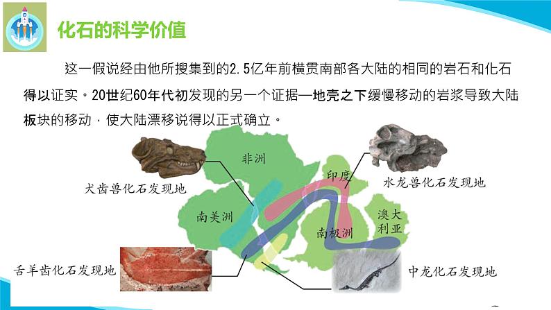 苏教版科学六年级上册10用化石作证据PPT课件08