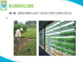 苏教版科学六年级上册16人造肥料与现代农业PPT课件