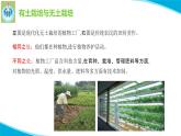 苏教版科学六年级上册16人造肥料与现代农业PPT课件