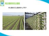 苏教版科学六年级上册16人造肥料与现代农业PPT课件