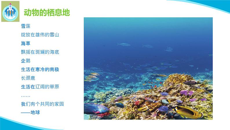 苏教版科学六年级下册5多样的栖息地PPT课件03