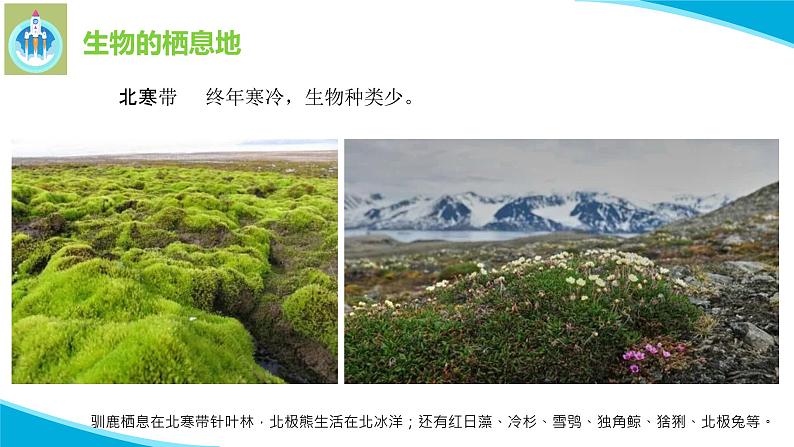 苏教版科学六年级下册5多样的栖息地PPT课件07