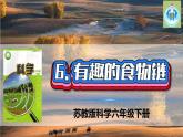 蘇教版科學(xué)六年級下冊6有趣的食物鏈PPT課件