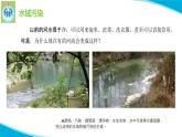 苏教版科学六年级下册13洁净的水域PPT课件