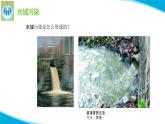 苏教版科学六年级下册13洁净的水域PPT课件