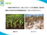 蘇教版科學(xué)六年級(jí)下冊(cè)16健康的土地PPT課件