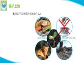 蘇教版科學(xué)六年級(jí)下冊(cè)16健康的土地PPT課件