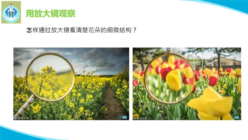 粤科粤教版科学一年级上册4学会运用工具PPT课件05