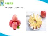 粤科粤教版科学一年级上册6美味的水果PPT课件修改
