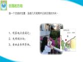 粵科粵教版科學(xué)二年級上冊13天空中的太陽課件