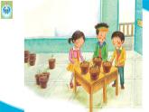 粵科粵教版科學(xué)二年級下冊7誰的蔬菜長得好PPT課件