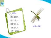 粵科粵教版科學(xué)三年級(jí)上冊(cè)第2課蜻蜓與麻雀PPT課件修改