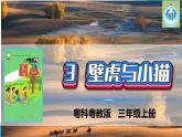 粵科粵教版科學三年級上冊第3課壁虎與小貓PPT課件修改