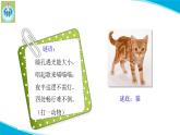 粵科粵教版科學三年級上冊第3課壁虎與小貓PPT課件修改
