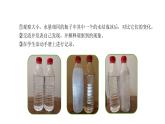 粤科粤教版科学三年级上册第17课它们的状态会变化吗PPT课件