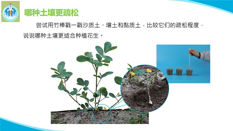 粤教版科学三年级下册科学3土壤与植物PPT课件修改版05