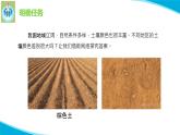 粵教版科學(xué)三年級(jí)下冊(cè)科學(xué)5網(wǎng)上學(xué)習(xí)土壤的顏色PPT課件
