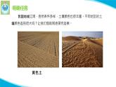 粵教版科學(xué)三年級(jí)下冊(cè)科學(xué)5網(wǎng)上學(xué)習(xí)土壤的顏色PPT課件