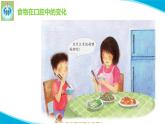 粵教版科學(xué)三年級下冊科學(xué)7食物的消化PPT課件修改版