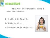 粵教版科學(xué)三年級下冊科學(xué)7食物的消化PPT課件修改版