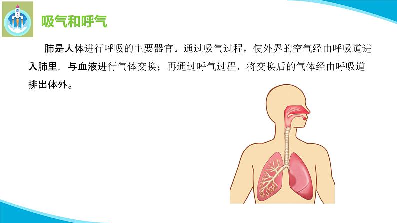 粤教版科学三年级下册科学8我们离不开呼吸PPT课件修改版06