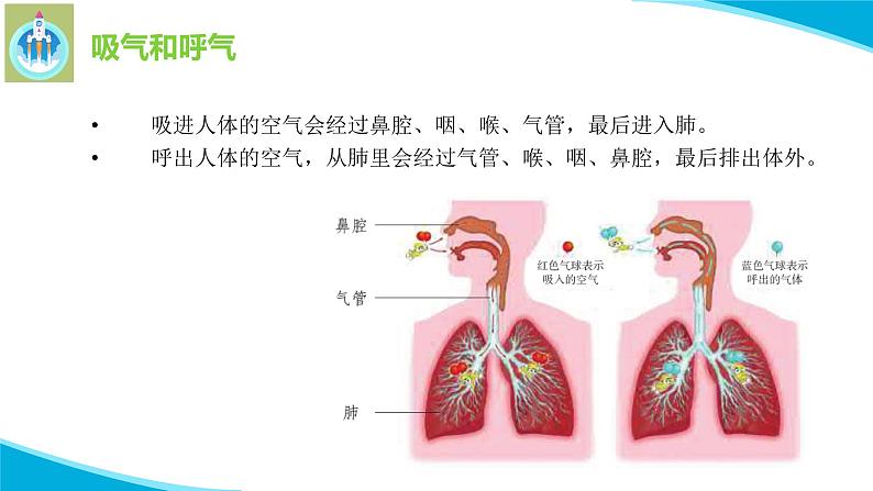 粤教版科学三年级下册科学8我们离不开呼吸PPT课件修改版08