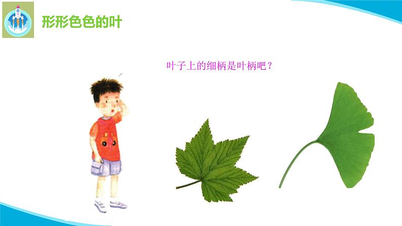 粤教版科学三年级下册科学12植物的叶PPT课件修改版第7页