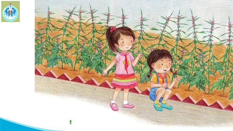 粤教版科学三年级下册科学13植物的茎PPT课件第2页