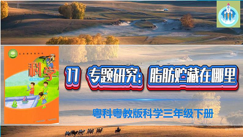 粤教版科学三年级下册科学17脂肪贮藏在哪里PPT课件修改版第1页